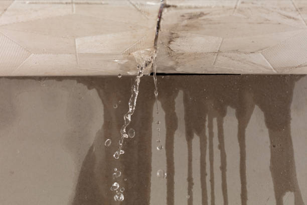 Professional Sewage Cleanup technician working in Springfield, PA